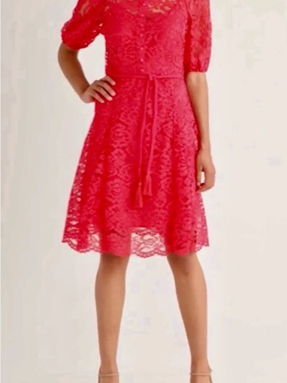 Tahari ASL Scallop Hem Raspberry Lace Fit & Flare Dress Size 10 MSRP $159 NWOT - Picture 2 of 8